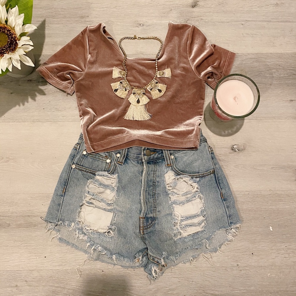 American Apparel Mauve Velvet Crop Top